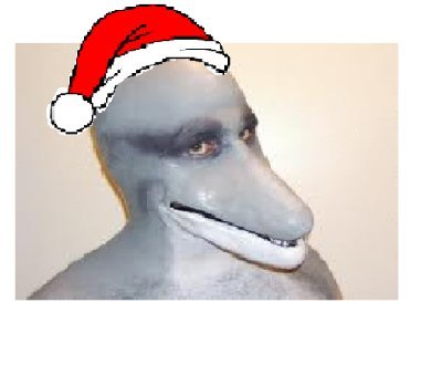 Firebirdddddd's profile picture. 