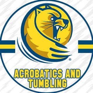 Official Twitter of the Lander University Acrobatics and Tumbling Bearcats! Potential Recruit? Email head coach: sdispaltro@lander.edu #cLawsUp