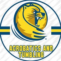Lander Acrobatics & Tumbling (@landeracrotumb) 's Twitter Profile