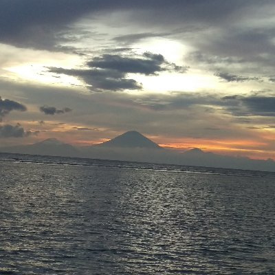 juliavbparrott's profile picture. 