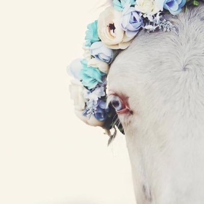 Theonly88C's profile picture. استغفرٌ اللہّ الذيَ لا إلہَ إلا هوَ الحيّ القيومْ وأتوبٌ إليہَ