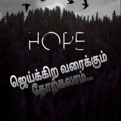 Bujji461's profile picture. Tweet