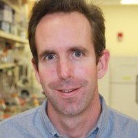 Michael Airola (@airola_lab) 's Twitter Profile