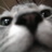 11jimmy13's profile image