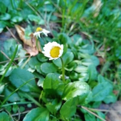 Aniii22111's profile picture. follow your gut instincts