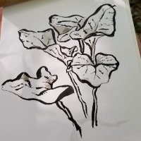Darnoc703 (@darnoc703) 's Twitter Profile