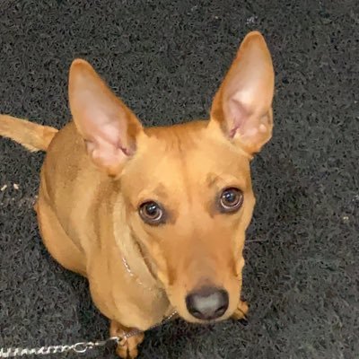 rubiojorge21's profile picture. 