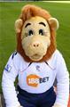 Bolton Wanderers Football Club Mascot since 1995
You'll find me patrolling the pitch during every Bolton Wanderers match at the Reebok Stadium, give me a wave!