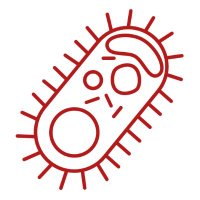 Cornell Epidemiology & Food Systems Lab (@cornell_epifs) 's Twitter Profile