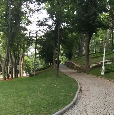 Gvs8TfGJZvZiHe7's profile picture. احب الخير