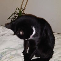 Francis Thomas (@francis03101979) 's Twitter Profile Photo