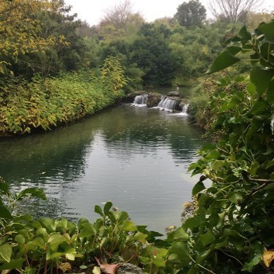 MoneyMa95542049's profile picture. je recherche une ou un soumis pour qu’il/elle raque