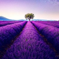 Tnrdgn (@tnrdgn) 's Twitter Profile