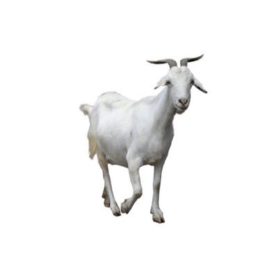 guolverine Profile Picture
