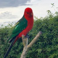 Dr Katherine Bates (@katbat2bates) 's Twitter Profile