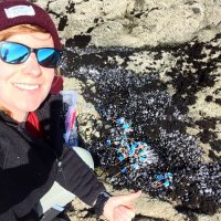 Dr. Sarah Nancollas (@sarahnanco) 's Twitter Profile