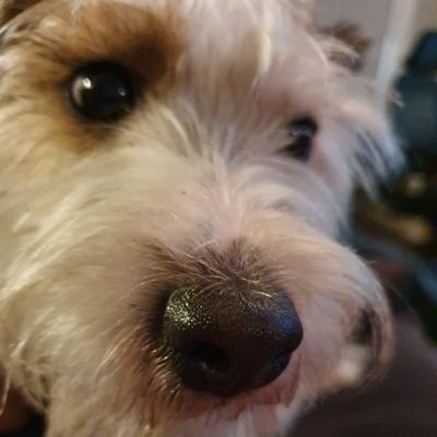 Hey everybody! I’m Kevin - newest recruit at BookitZone. Highly excitable and full of energy I’m sure I’ll get to meet you at races throughout the UK.