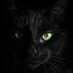 Sir Oliver (@olivergentlecat) Twitter profile photo Sir Oliver (@olivergentlecat) Twitter profile photo