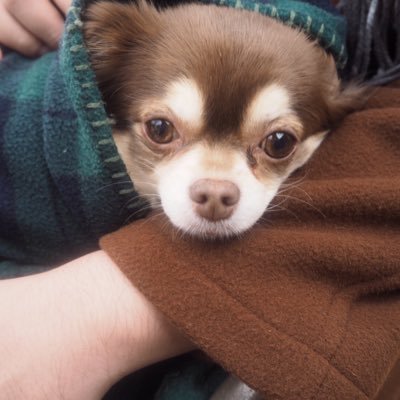 y_yusuke1206's profile picture. 一級建築士/インテリアプランナー/SDレビュー SD賞/環境デザインコンペ 優秀賞/東京建築コレクション 理顕賞/東京都美術館『生きるための家』展/tokyo designers week/建築100人展/Social Architecture Award/good design award/