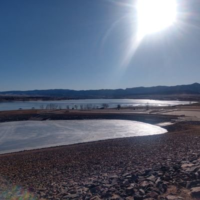 Best_n_Show's profile picture. 