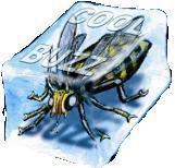 CoolBuzzMusic's profile picture. Cool Buzz is an independent label for alternative roots and modern blues. One of the most leading record labels for contemporary roots music in the Benelux.