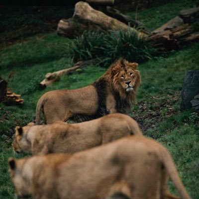 GrindCulture's profile picture. Gotta Wake Em, Gotta Shake Em