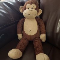 Owen the Monkey 🐵(@owenmiller75) 's Twitter Profile Photo