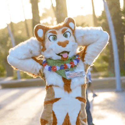 Rygar Ripclaw | Golden Tiger 🐯 | Loves sushi 🍣, video games 🎮, and tummy rubs👋 | Suit by @TheFuzzFactory