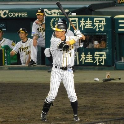 阪神タイガース優勝を味わいたい。アラフィフ♂
勝ち負け共有など楽しくやっていきたいです！選手へのリスペクトがない方はブロックします。宜しくお願いします🐯🐯🐯🐯🐯
 #0木浪聖也 #5近本光司 #15西純矢 #27伊藤将司  #33糸原健斗  #51中野拓夢