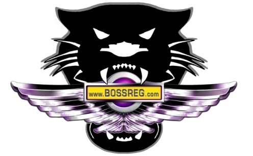 BOSSREG are purveyors of quality personalised registration numbers. We are a family run business and pride ourselves in providing a friendly personal service.