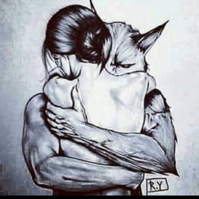 BojanTomaevi1's profile picture. 🤣🤣🤣