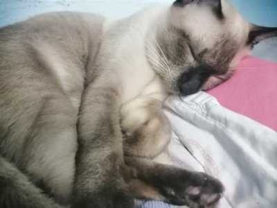 DPloy4's profile picture. 