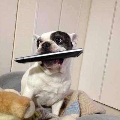 nobukokato's profile picture. ちちぶ出身、のんびりが目標。