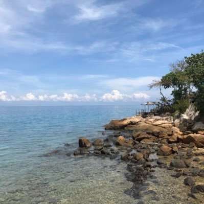 Imnblh7's profile picture. 🌹