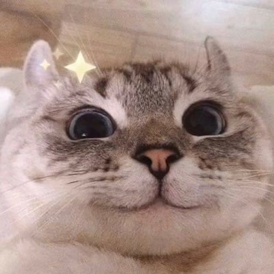 popfilter11's profile picture. 