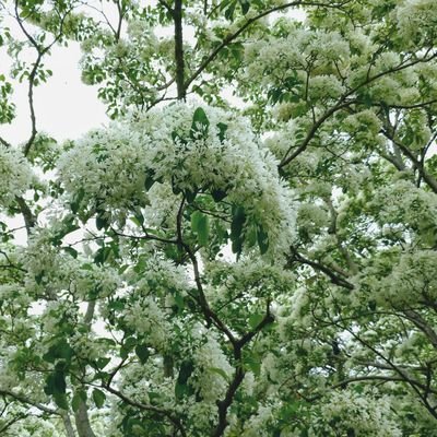 部屋を埋め尽くすグッズの片付け中です。
返信遅くなる場合あります。
ご縁がありましたらお願いします
取引用アカウント
◎当方=40↑,社会人,推し(HQ日向、P.P.常守・霜月・慎導・イグナトフ)
◎喫煙者なし、ペットなし