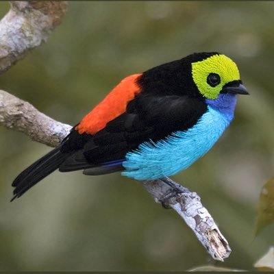 markizagood's profile picture. обостренное чувство справедливости