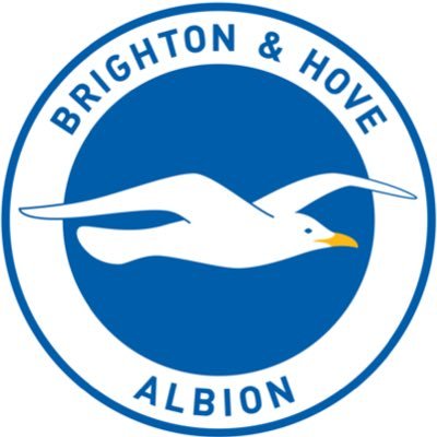 The twitter page for all things about the Brighton and Hove Albion’s women team (unofficial)
