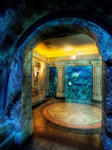 sooners1016's profile picture. Read the Bible. It's Jesus' tweet to the world!