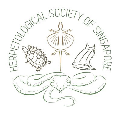 Herpetology enthusiasts based in Singapore. We believe in ethics, rigour, and outreach. Join us on our free monthly guided herp walks!