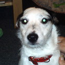 Clare Mason-Flucke - @claremasonfluke - Twitter