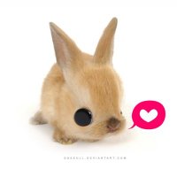 ShinyWind (@shinywind_kr) 's Twitter Profile