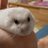 ゆうのアイコン