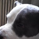 Capers008 - @DarrickWalker8 - Twitter