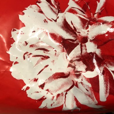 JavaJavaJava12's profile picture. 