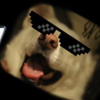 Ossia (@pigdeons) 's Twitter Profile Photo Ossia (@pigdeons) 's Twitter Profile Photo