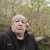 CE1LEW (@ce1lew) 's Twitter Profile