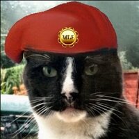Kirk Lees (@kirkleesthecat) 's Twitter Profile