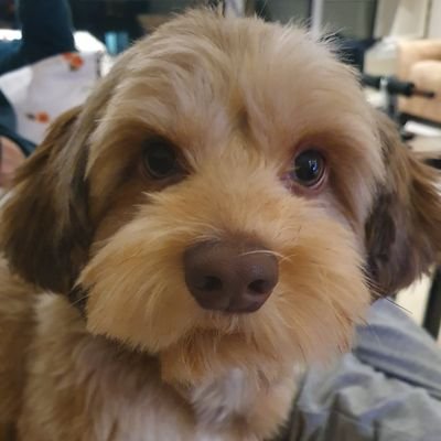 MakbuleKantar's profile picture. 