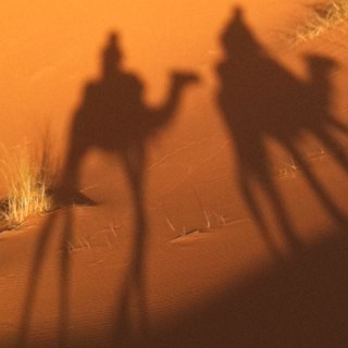 Mirandabeen's profile picture. 